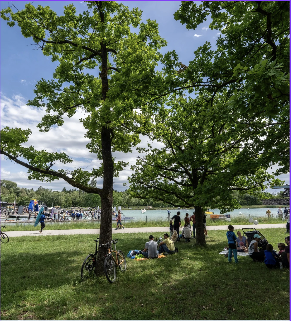 Familien und Zuschauer im Schatten der Bäume am Ufer der Regattastrecke